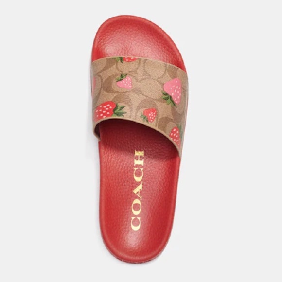 Coach Sport Slide with Strawberry Print - Picture 3 of 8